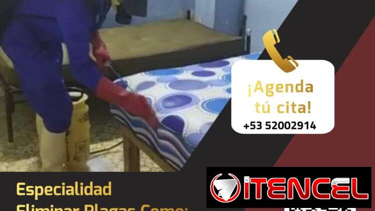 Servicio De Fumigación PlagaKØ