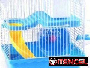 937b88bbbe87ac9aaf3c9f2ce3fd71fa0c0f2955e4fd4e2c1a23bc4355c3eaf7