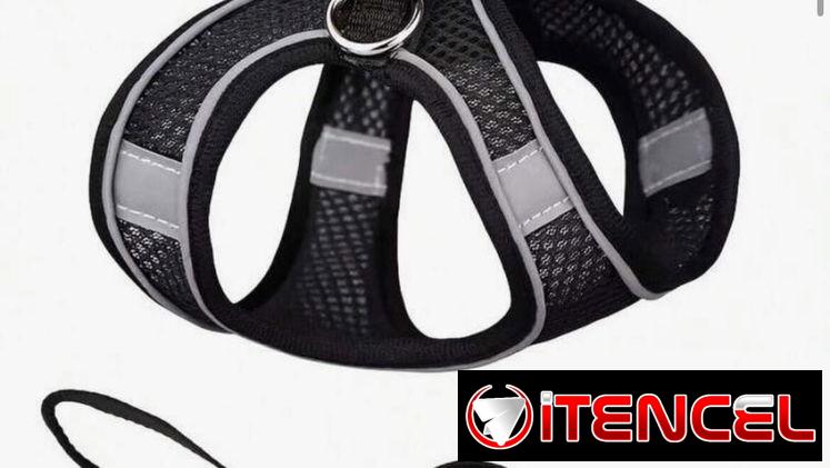 Arnés / Pechera para perros