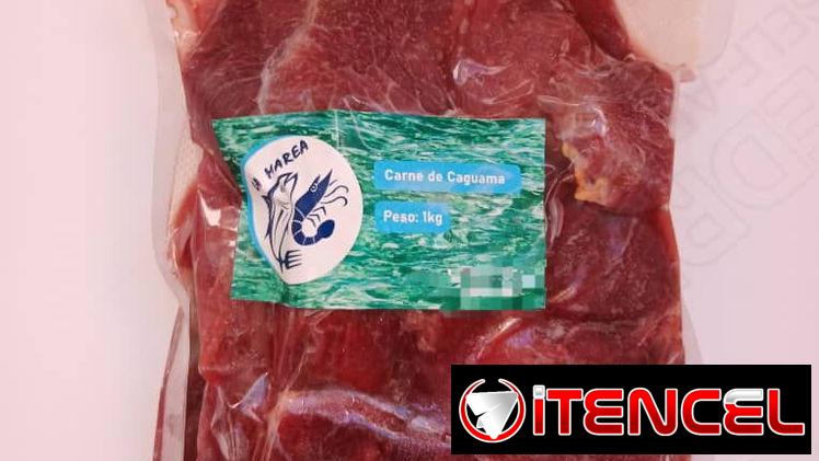 Bistec de Cagüama