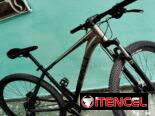 Vendo bicicleta rali rio 2.0