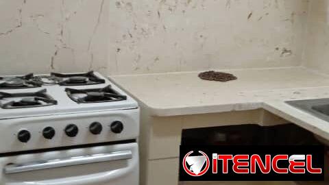 Renta lineal casa en bajos 2 cuartos portal y patio Playa 350usd 53582376