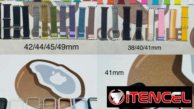 Manillas y protectores de Apple Watch