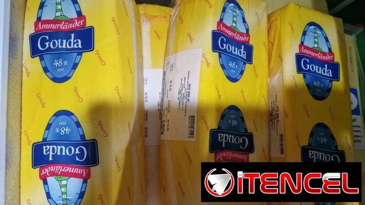 Queso gouda