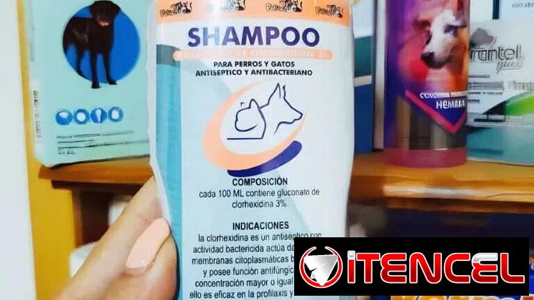 Shampoo 240ml de Clorhexidina