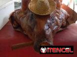 Cerdo asado