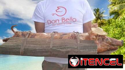 CERDO ASADO PARA 120 PERSONAS CON SUS GUARNICIONES VARIADAS