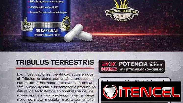 TRIBULUZ ALLAMAX