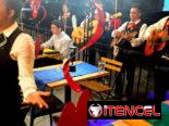Mariachis para sus fiestas