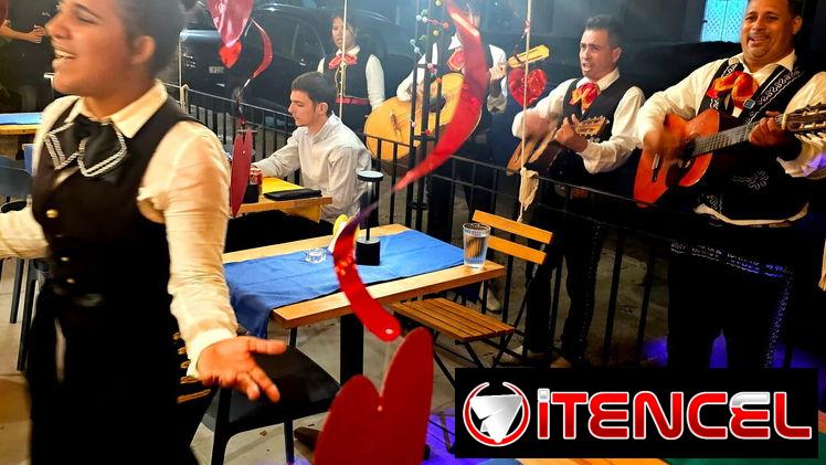Mariachis para sus fiestas