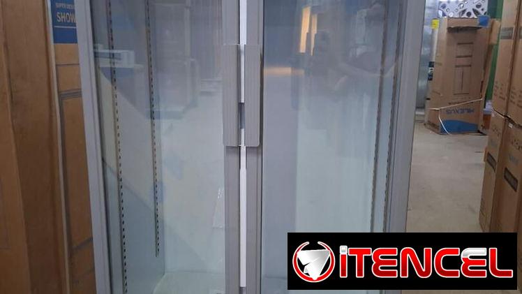 Nevera Exhibidora MILEXUS 20 pies