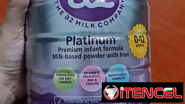 Fórmula para bebés (NAN) de 0 a 12 meses