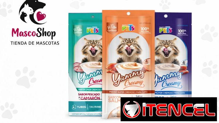Premio para gatos