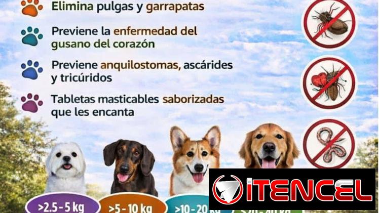 🐾✨ ANTIPARASITARIO SIMPARICA TRIO