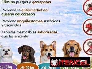 97d22c5f41d8ba5c060f3ea1291d3ee08783b05d0a88f4ac63961996b1312142