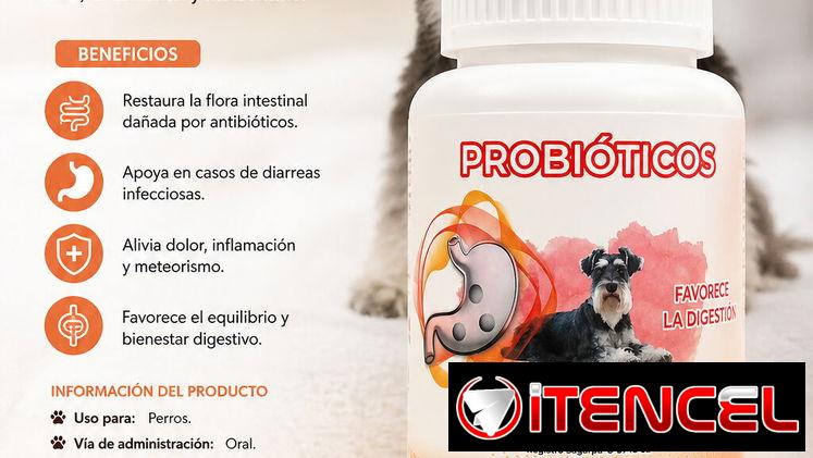Probioticos para perros