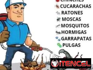 98159d0c565c0e708161908b3028e67540bd33b06436ecf7614ae10476676259
