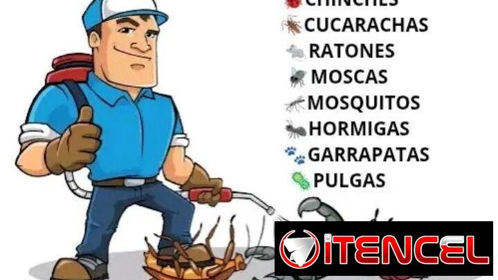 Fumigador .