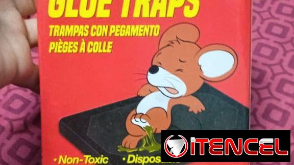 TRAMPA PARA RATONES