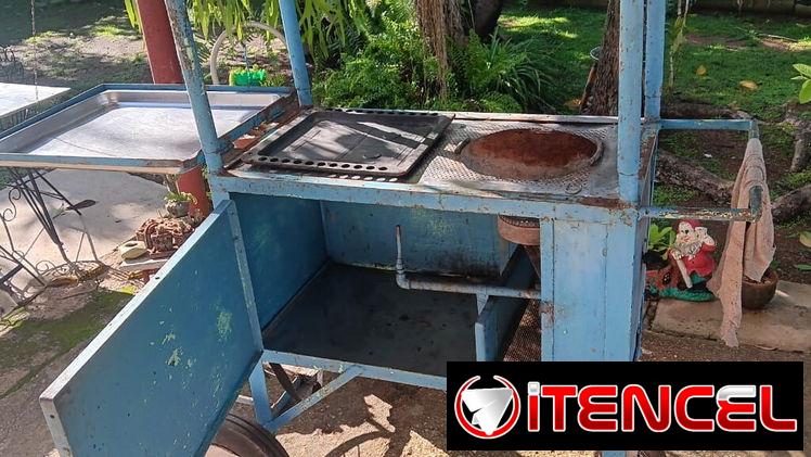 Vendo carro de frituras