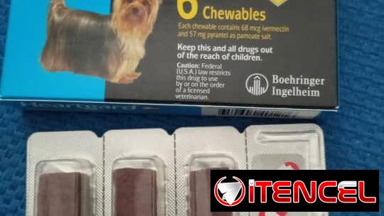 Antiparasitario para perros