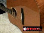 Acoustic Guitar New model Solid Cedar Top, (Canadian brand)