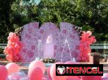 FIESTA DE QUINCE AÑOS. DECORACIÓN Y COORDINACIÓN