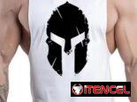 ®®®Next-Phase®®®CAMISETAS SPARTAN GYM ABIERTAS PARA TRABAJAR MEJOR EL DORSAL® >>>+1-346-580-18-97 / 53437216