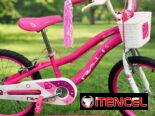 ✨️VARIEDAD DE BICICLETAS MEDIDAS 20 PARA NIÑOS ✨️