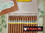 Disponible Buenos Habanos Cohibas en la Habana 🇨🇺 Aroma intenso, sabor auténtico y frescura garantizada