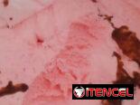 Helado original coppelia