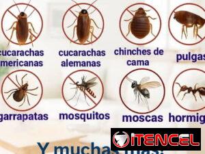 99a540665d94cc34e975d5d7b9c3fe1d379294909e2d680c0ce6c4eb1bdf2e40