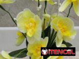 🧧Maceta con orquídeas💫 📏30cm /12 usd🧧