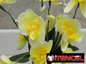 99c7d235ecac3fa83a7aba06cd7c04b7734cc25ee48497dedd1d62a22574590f-1