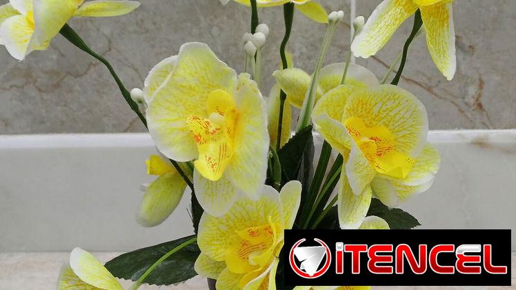 🧧Maceta con orquídeas💫 📏30cm /12 usd🧧