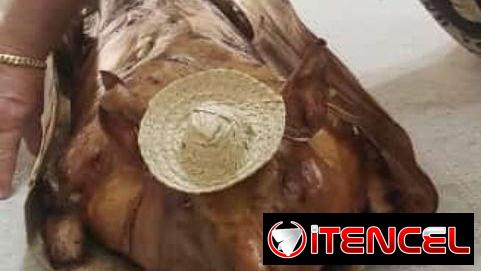 Cerdo asado