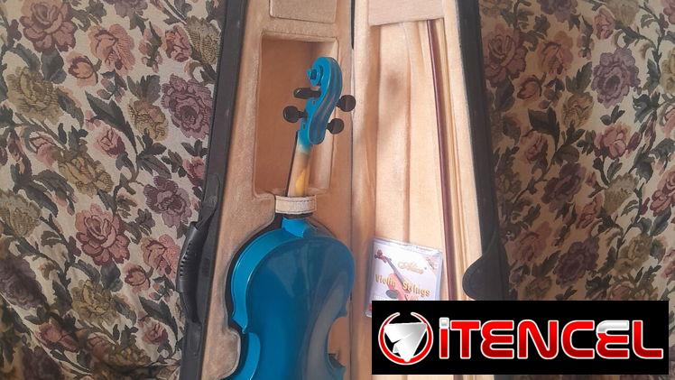 Violin