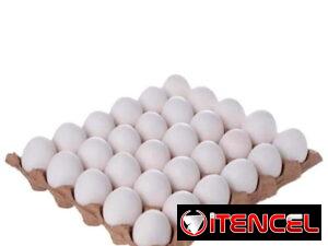 9a3b0d64907976047f548a896d65e35c5cccc2f495eb017f1f9bb4a098cd7f50