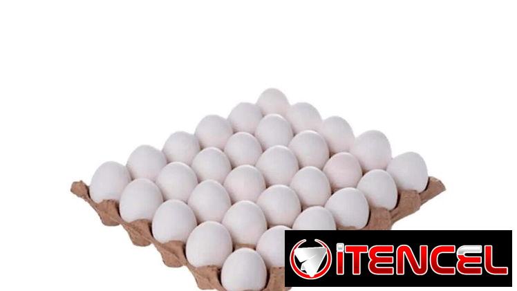 Huevos!!!!