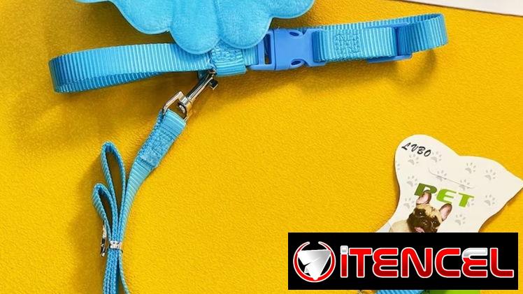 Correas con pechera de Alitas