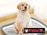 BUSCO Bandeja de entrenamiento para perros