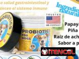 Artículos para mascotas