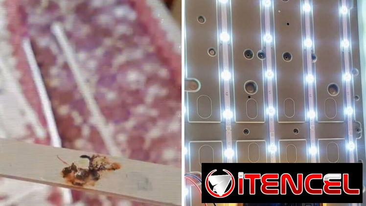 SERVICIO TÉCNICO DE REPARACIÓN DE TELEVISORES A DOMICILIO___ 54485773