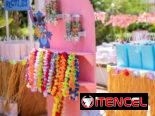 🎈 CUMPLEAÑOS INFANTILES PREMIUM EN LA HABANA | Decoración de Lujo | TOCAO Eventos