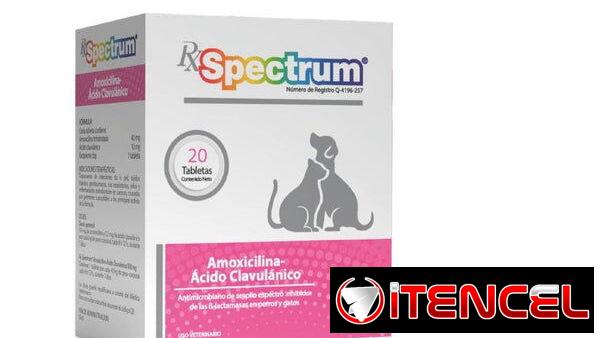 Amoxicilina 50mg para perros y gatos