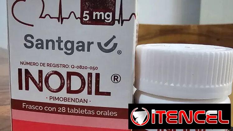 INODIL PIMOBENDAN 5 mg (POMO DE 28 TABLETAS)