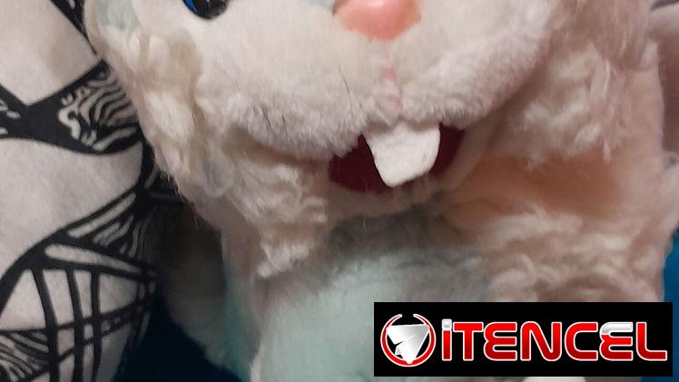 Conejo grande de peluche