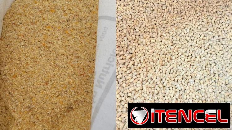 Vendo piensos para puercos y gallinas ponedoras 56 70 29 86