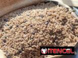 🐷Cerdo asado y comida🌮criolla de la buena😉Escribenos y haremos tu día especial 🥳