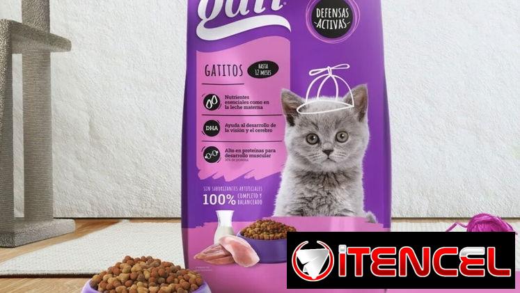 Artículos para mascotas
